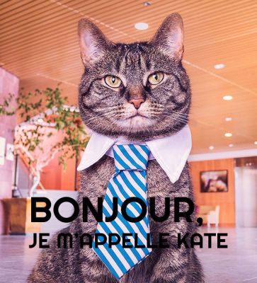 Pas bien !